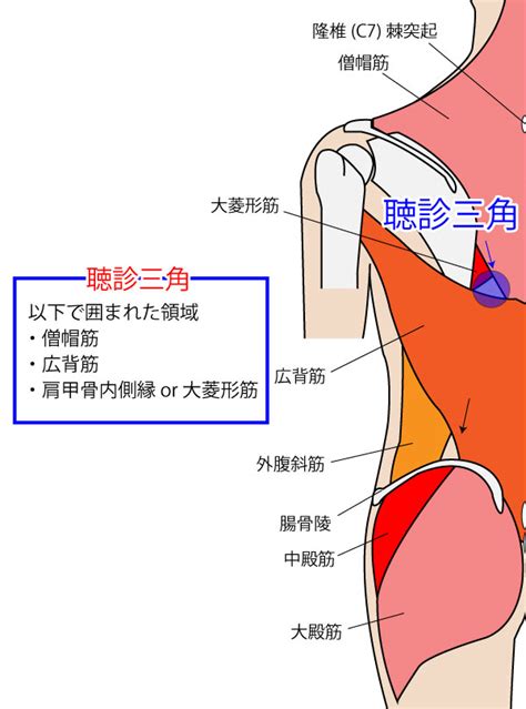 腰三角 構成